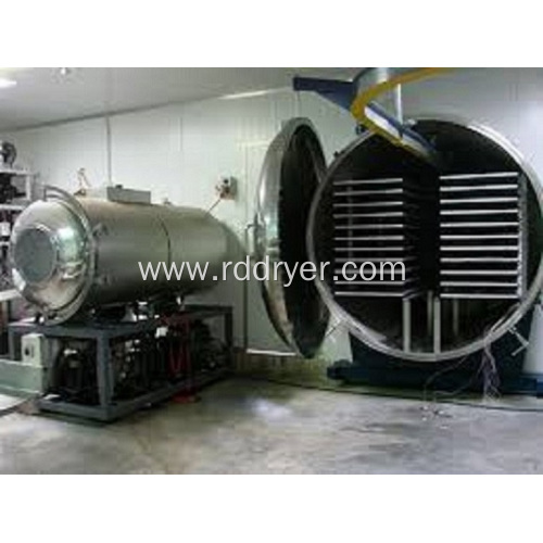 Beetroot Dices Vacuum Dryer with Low Temperature